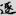신출자