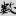 신출자