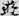 신출자